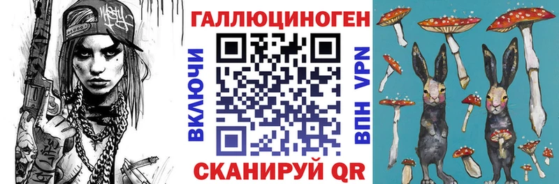 hydra ссылка Чита Псилоцибиновые грибы Psilocybe