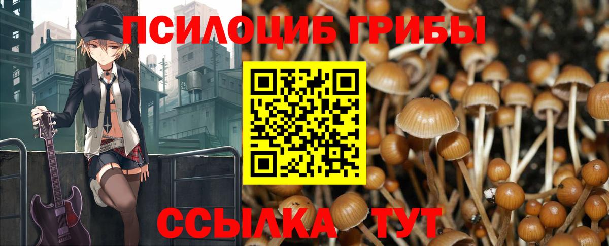Галлюциногенные грибы мицелий  Вход с VPN  Чита 